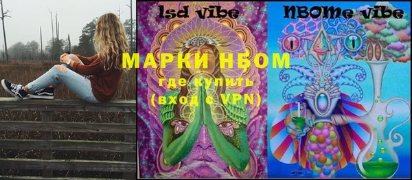 мдпв Бородино