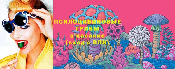 герыч Снежинск