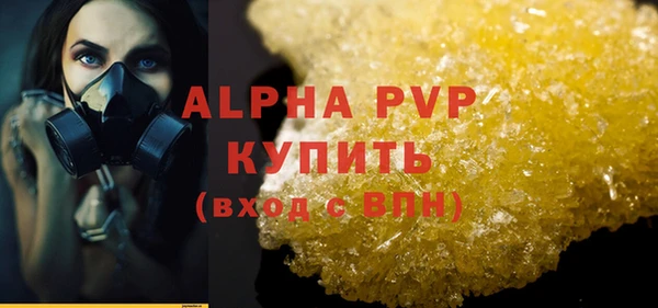 мдпв Бородино