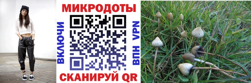Псилоцибиновые грибы мицелий  Давлеканово 